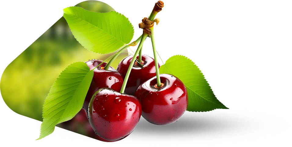 cereza